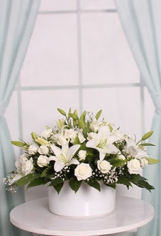 Seramik saksıda beyaz çiçek arajmanı